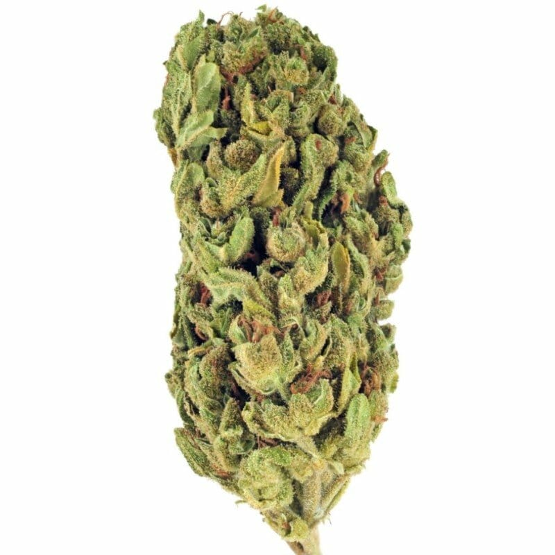 Kaufen Sie Nevada Jack Herer Indoor CBD Blüten 10g online