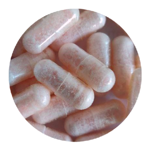 Kaufen Sie Pink Rhino MDMA-Kapseln - PUREMDMA.DE