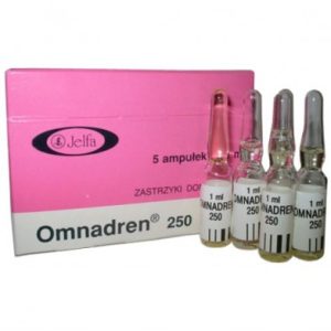 Omnadren 250 Jelfa, 250 mg/1 ml, 1 Ampulle. Zu verkaufen