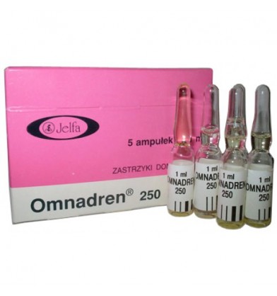 Omnadren 250 Jelfa, 250 mg/1 ml, 1 Ampulle. Zu verkaufen