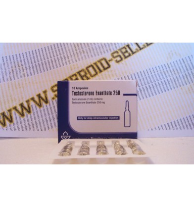Testosteron Enantat 250 mg / 1 ml online kaufen, Iran