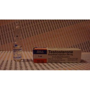 Testosteron Enantat 250 mg/1 ml kaufen, Rotexmedica – Deutschland