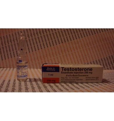 Testosteron Enantat 250 mg/1 ml kaufen, Rotexmedica – Deutschland