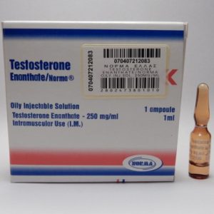 Kaufen Sie Testosteron Enanthate Norma, 250 mg/ml, 1 ml Ampulle