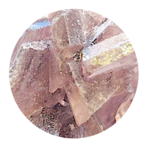 Twilight Molly kaufen - PUREMDMA.DE